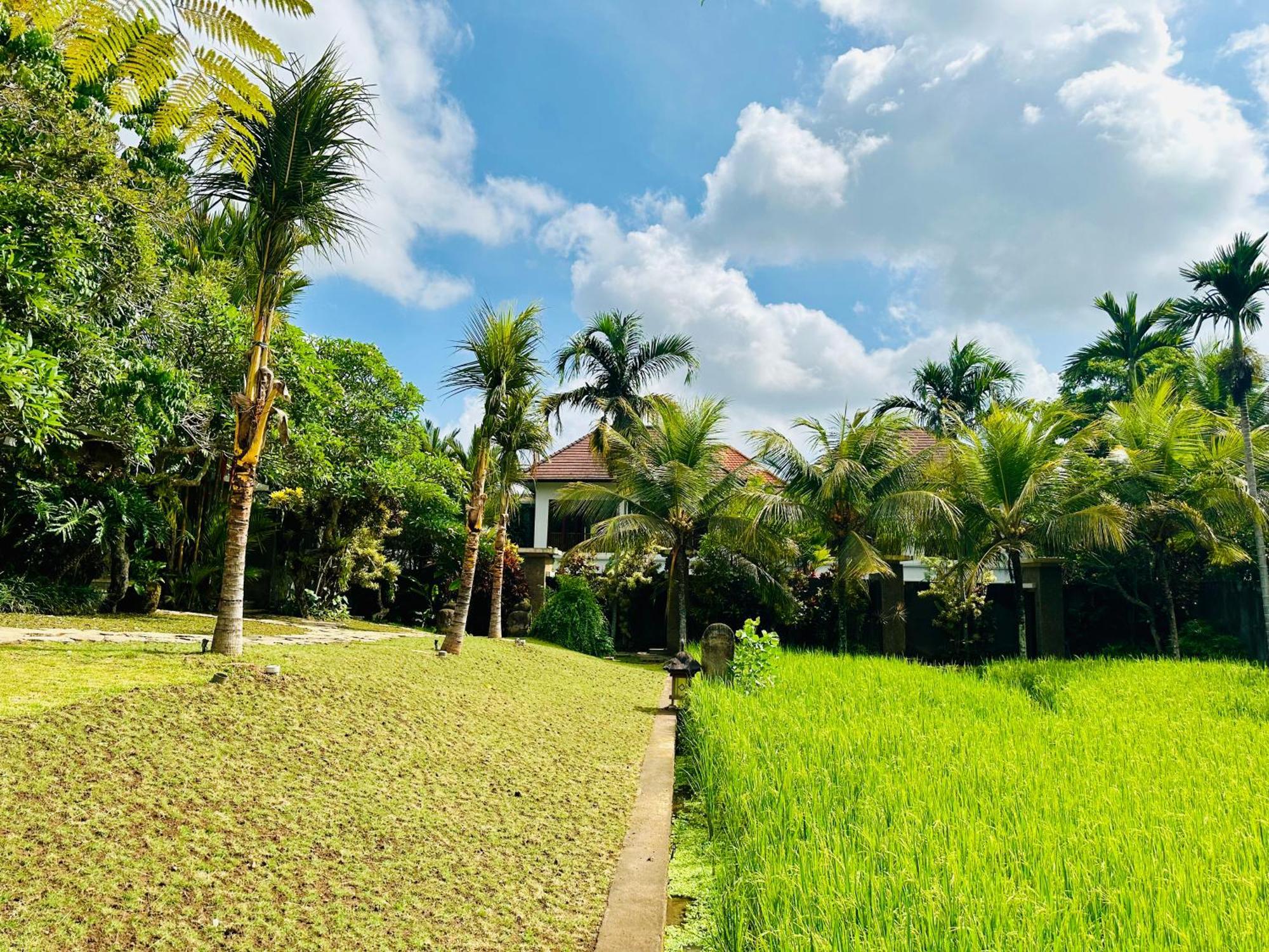 Wana Karsa The Villas Ubud Экстерьер фото